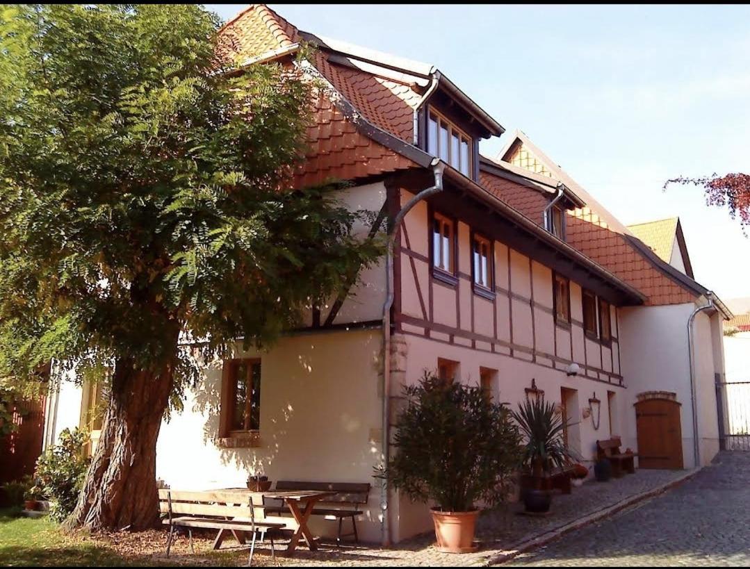 Pension Robinienhof Schadeleben Buitenkant foto